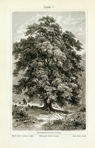 Linde ii historischer - ii.,